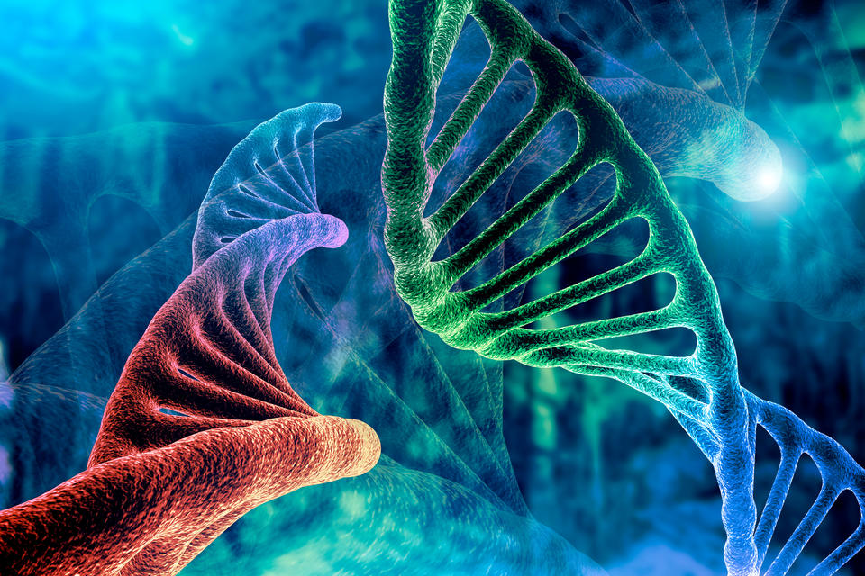 Cancer Research